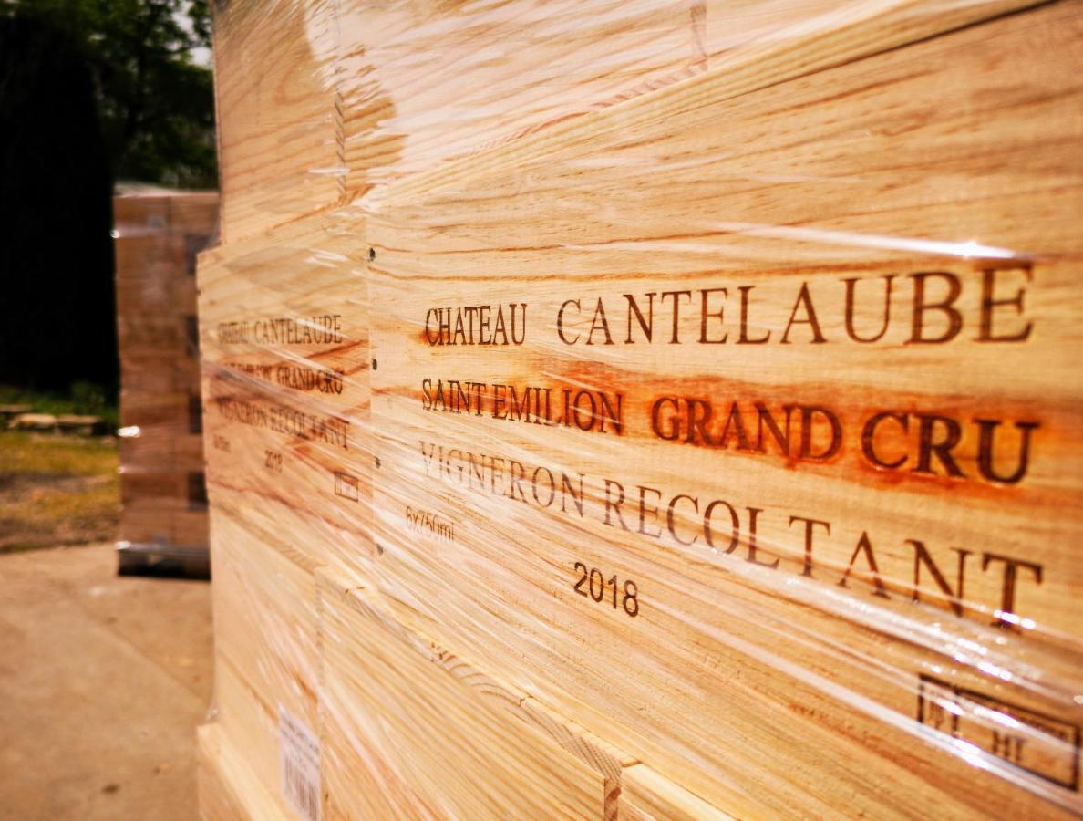 Chateau Cantelaube Holiday home Saint-Emilion