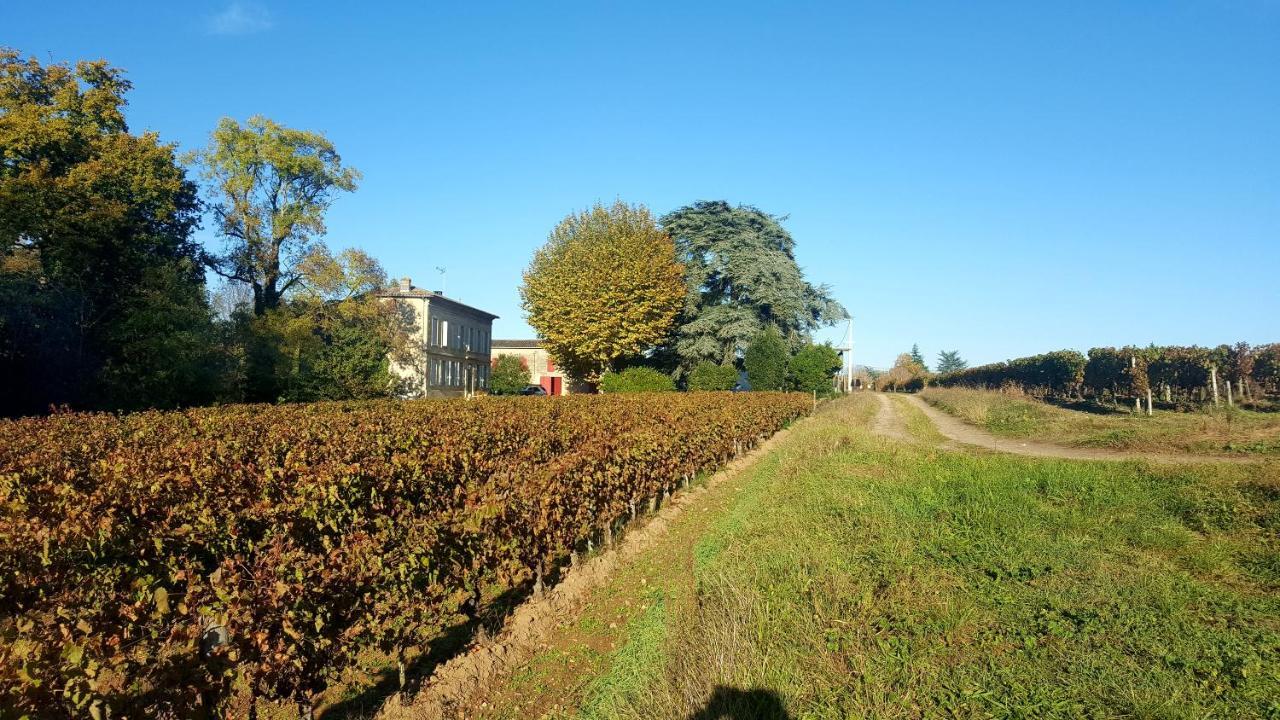 Chateau Cantelaube *